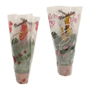 GARDENLINE Guzmanie / Vriesea