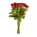 Bild 2 von GARDENLINE Fairtrade-Rosen