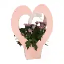 Bild 3 von GARDENLINE Blühpflanze