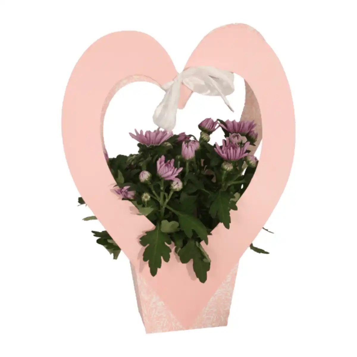 Bild 3 von GARDENLINE Blühpflanze