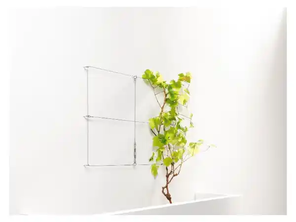 Bild 2 von PARKSIDE® Rankhilfe Edelstahl 30m / 15m Set 2tlg. (15m Set 2tlg.)""