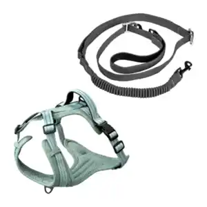 ROMEO Hundeleine / -geschirr