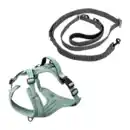 Bild 1 von ROMEO Hundeleine / -geschirr