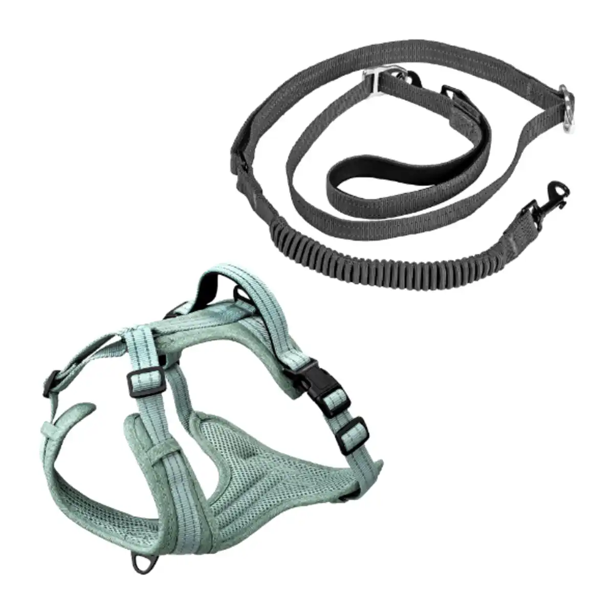 Bild 1 von ROMEO Hundeleine / -geschirr