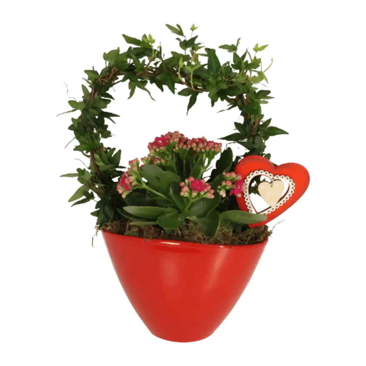 Bild 3 von GARDENLINE Efeubogen in Keramik