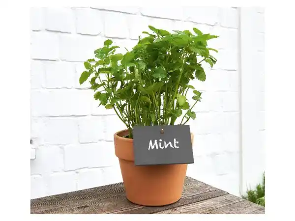 Bild 3 von PARKSIDE® Pflanzenstecker, inkl. Kreide