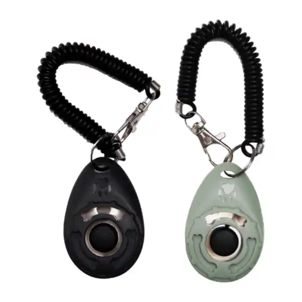 Bild 2 von ROMEO Trainings-Sortiment