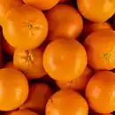 Bild 2 von Götterfrucht Mandarinen "Götterfrucht"