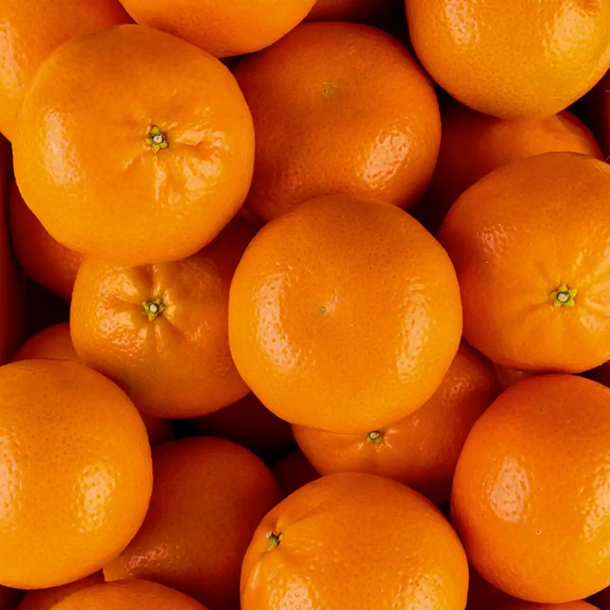 Bild 2 von Götterfrucht Mandarinen "Götterfrucht"