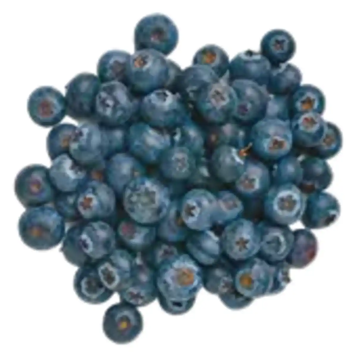 Bild 1 von Heidelbeeren