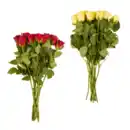 Bild 1 von GARDENLINE Fairtrade-Rosen