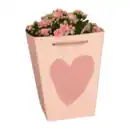 Bild 3 von GARDENLINE Kalanchoe