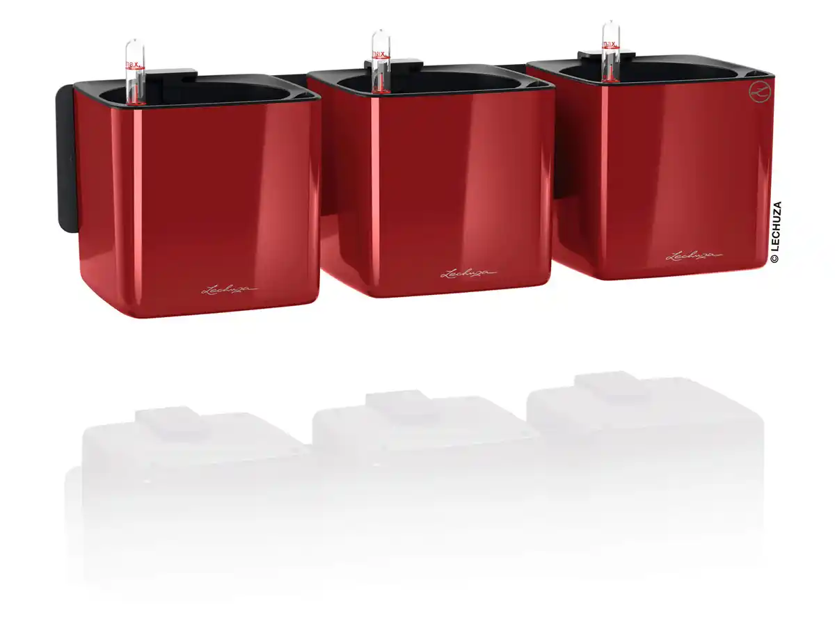 Bild 3 von Lechuza Green Wall Home Kit (scarlet rot hochglanz)