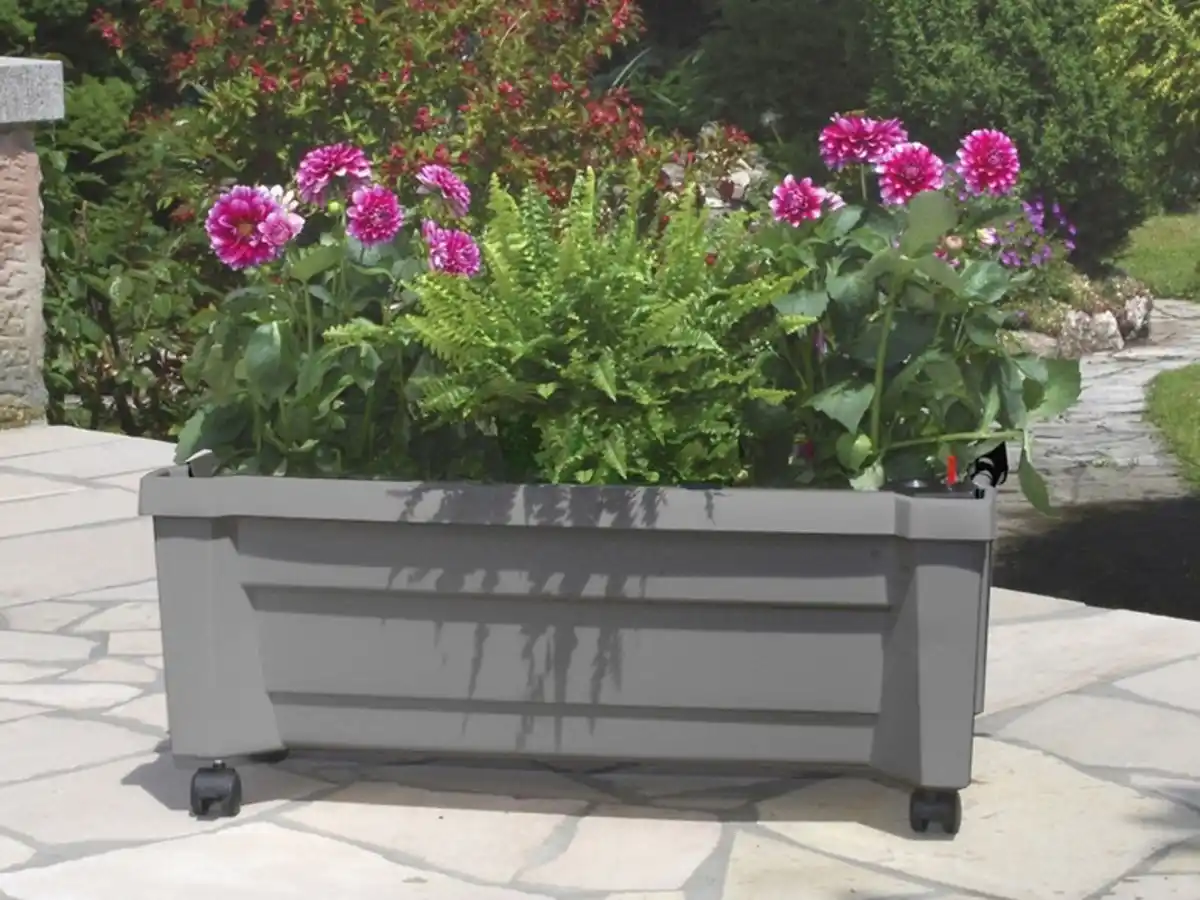 Bild 1 von KHW KHW Calypso Pflanzkasten mit Bewässerungssystem, B 79 x T 35 x H 33 cm