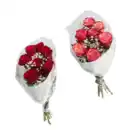 Bild 1 von GARDENLINE Langstielige Rosen