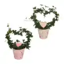 Bild 1 von GARDENLINE Efeuherz