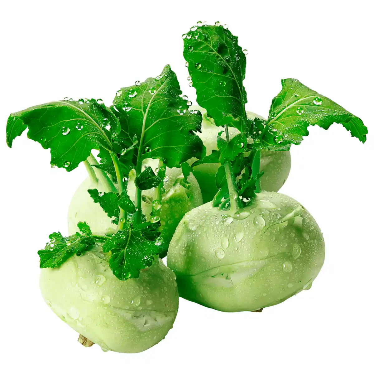 Bild 1 von Kohlrabi 1 Stück