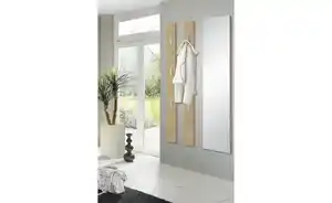 Spiegel 42 x 170 cm Fino