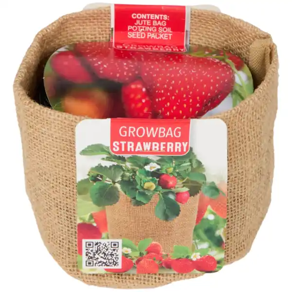 Bild 3 von Anzuchtbeutel