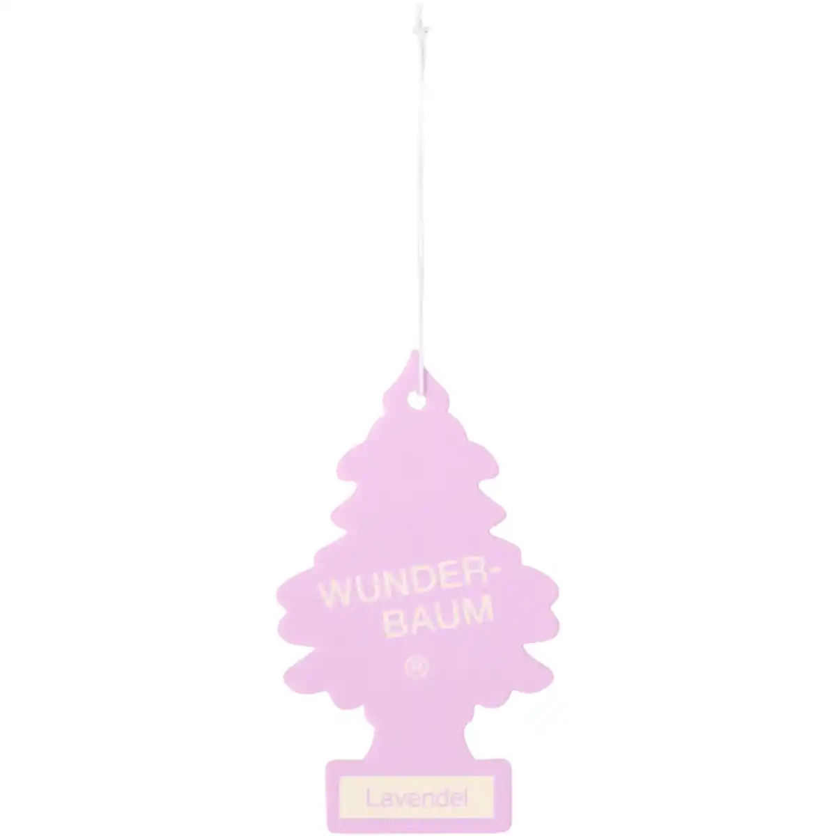 Bild 1 von Wunder-Baum Duftbaum