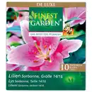 Bild 3 von Finest Garden Exklusive Blumenzwiebeln "De Luxe"