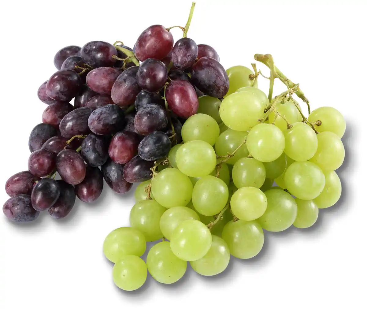 Bild 1 von Südafrik. Tafeltrauben, hell oder rot, 600-g-Packg.