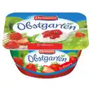Bild 1 von EHRMANN Obstgarten 125 g, Erdbeere
