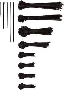 PARKSIDE® XXL-Kabelbinder-Set, 1.000-St.-Packg.