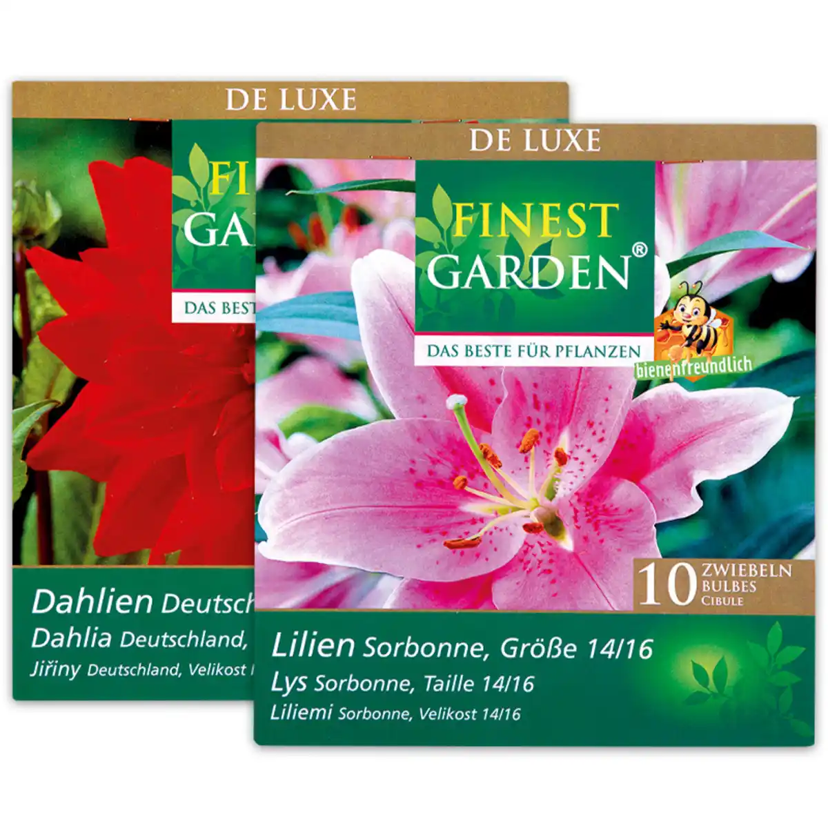 Bild 1 von Finest Garden Exklusive Blumenzwiebeln "De Luxe"