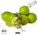 Bild 1 von NATURGUT Bio-Limetten*