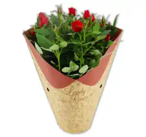 Topfrosen in Kragentüte*