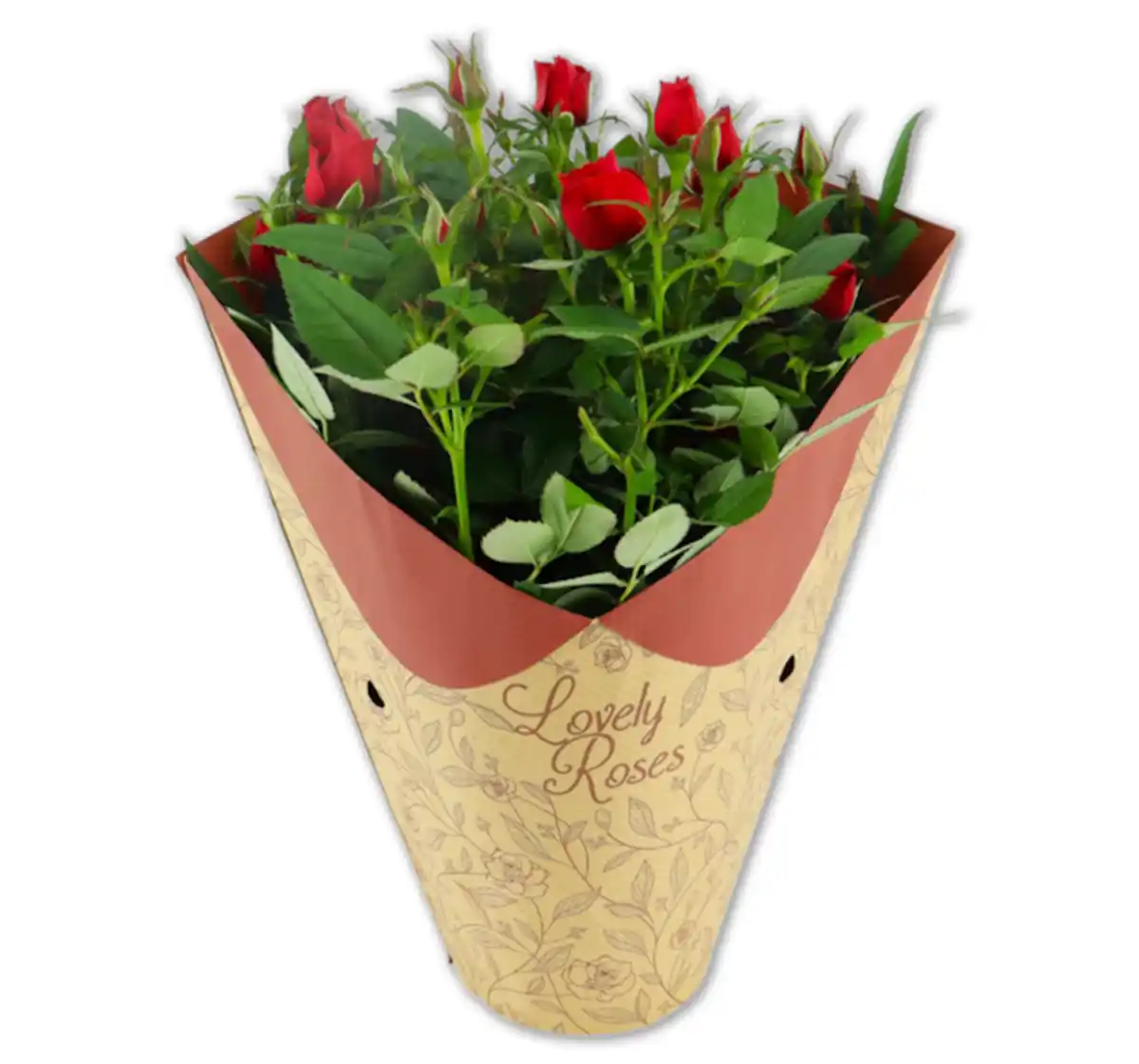 Bild 1 von Topfrosen in Kragentüte*