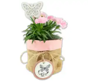 Bepflanzte Sisaltasche*