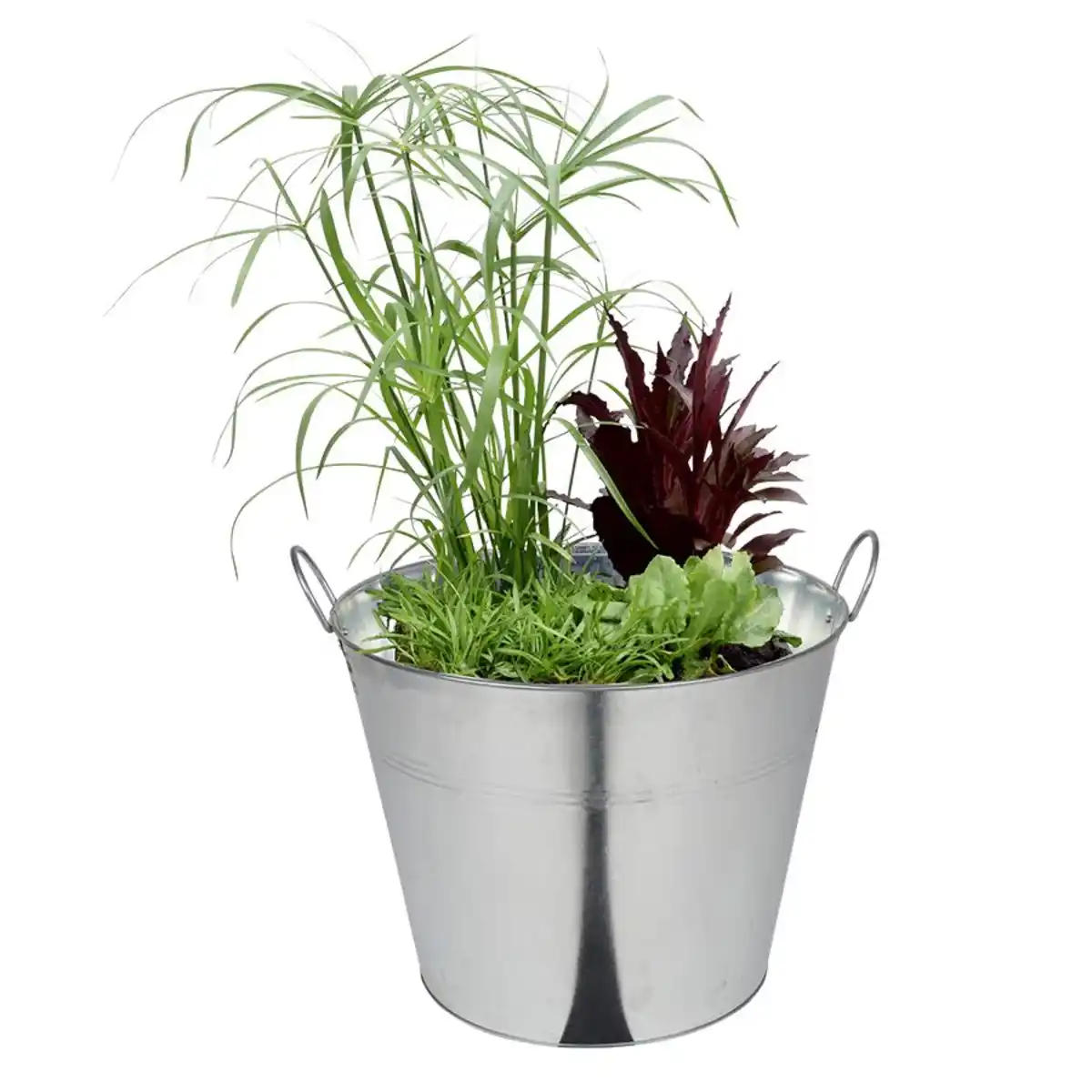 Bild 1 von XXL Zinkeimer mit 2 Griffen 40 Liter