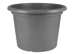 Pflanzkübel Campanula 50cm