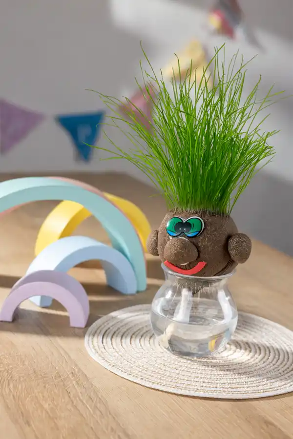 Bild 3 von IDEENWELT Graskopf Gesicht