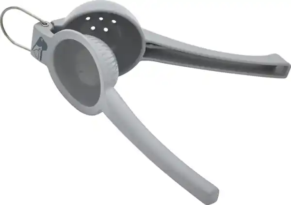 Bild 2 von IDEENWELT Zitruspresse grau