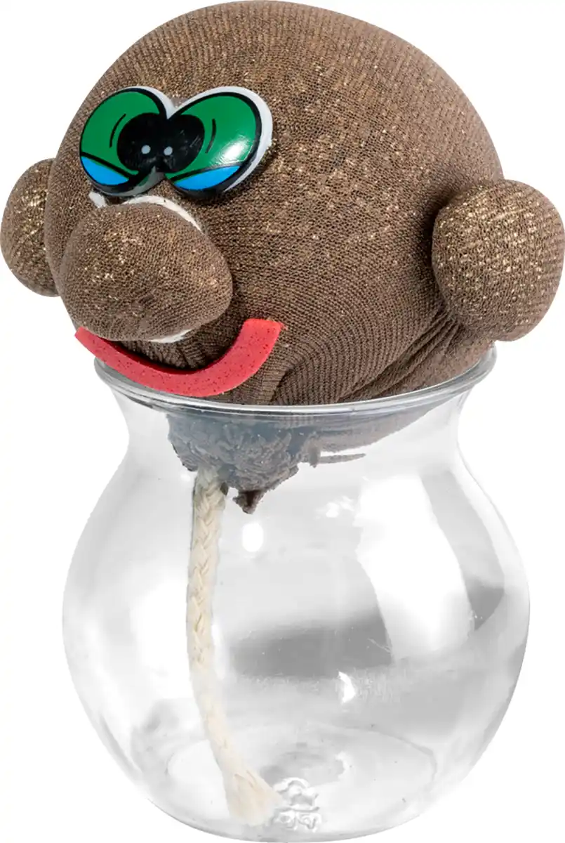 Bild 2 von IDEENWELT Graskopf Gesicht