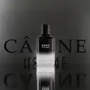 Bild 3 von Câline Homme Dark Mystery, EdT 60 ml