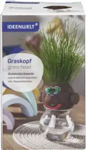 IDEENWELT Graskopf Gesicht