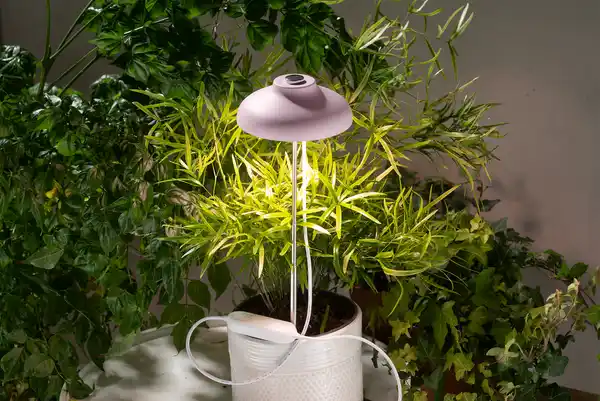Bild 4 von IDEENWELT LED-Pflanzen-Lampe rosa