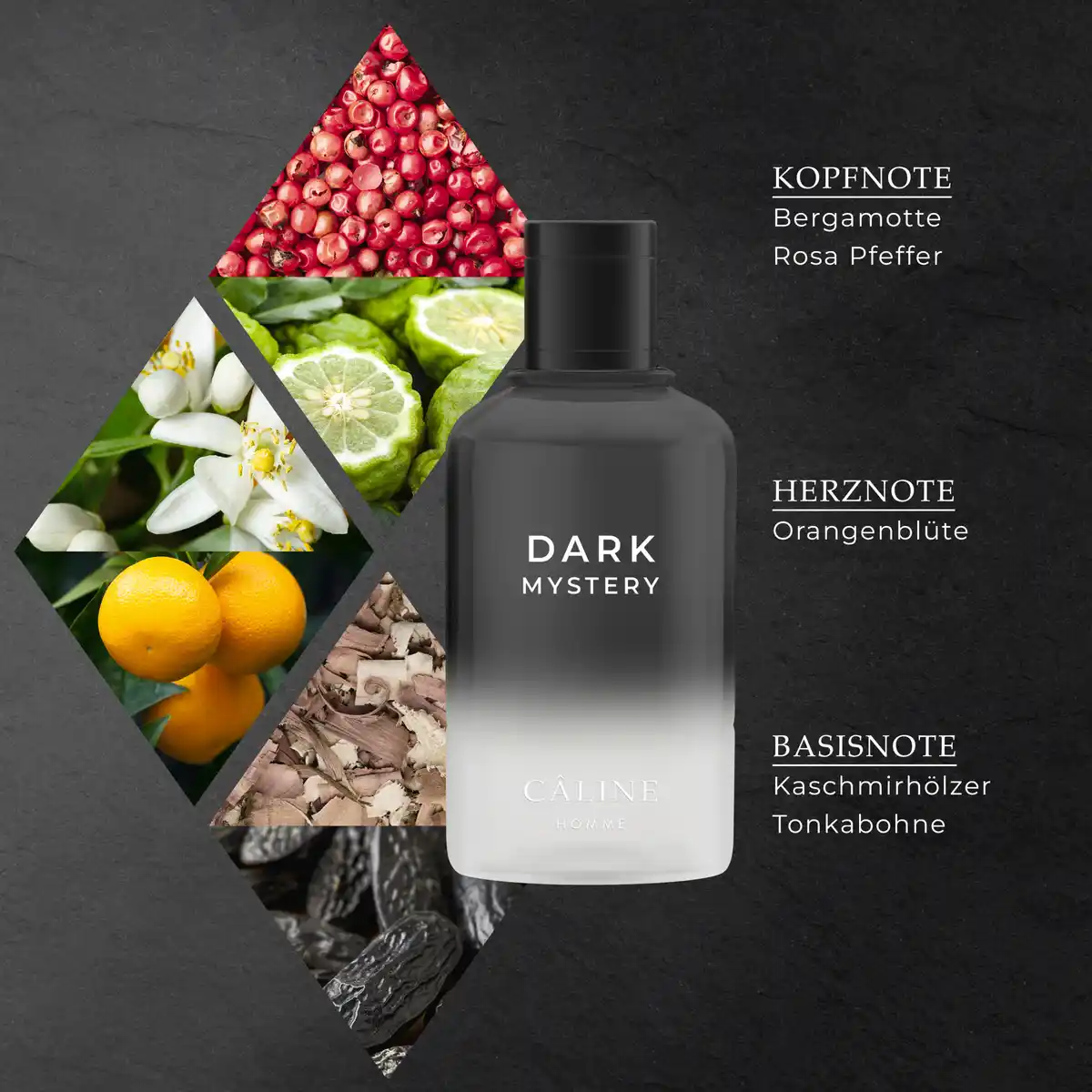 Bild 4 von Câline Homme Dark Mystery, EdT 60 ml