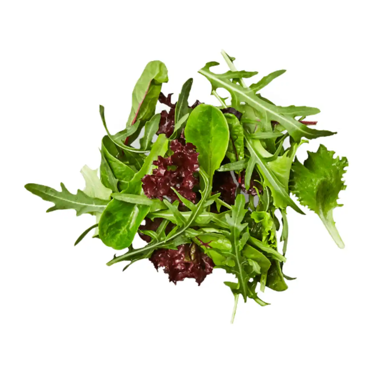 Bild 1 von Pflücksalat 125g