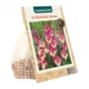 Bild 4 von GARDENLINE Frühjahrsblumenzwiebeln