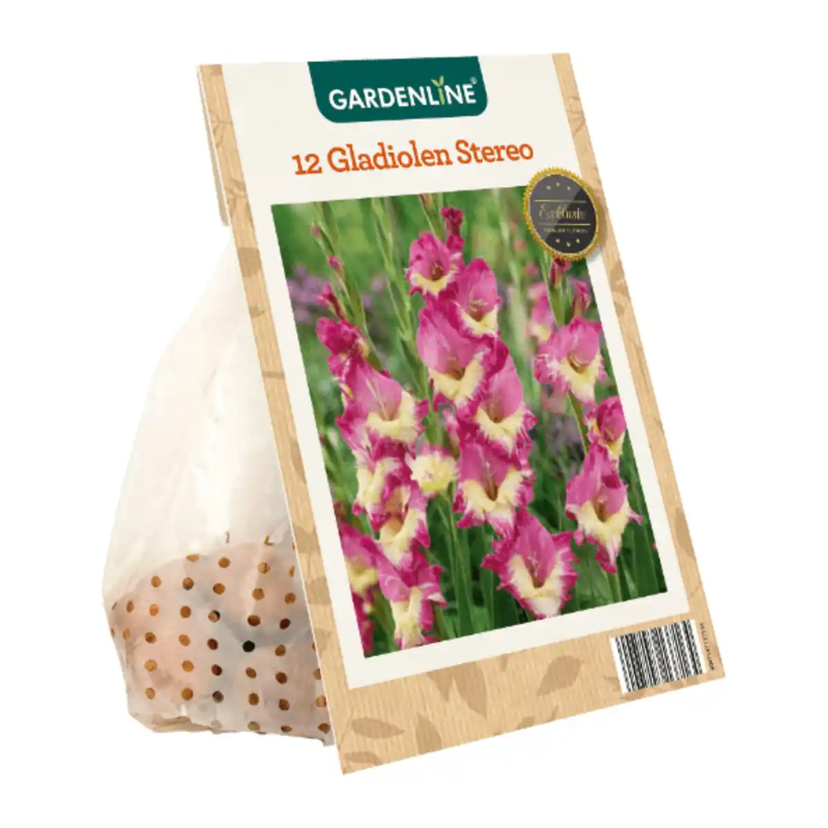 Bild 4 von GARDENLINE Frühjahrsblumenzwiebeln