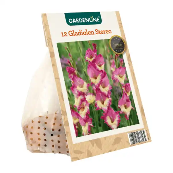 Bild 4 von GARDENLINE Frühjahrsblumenzwiebeln