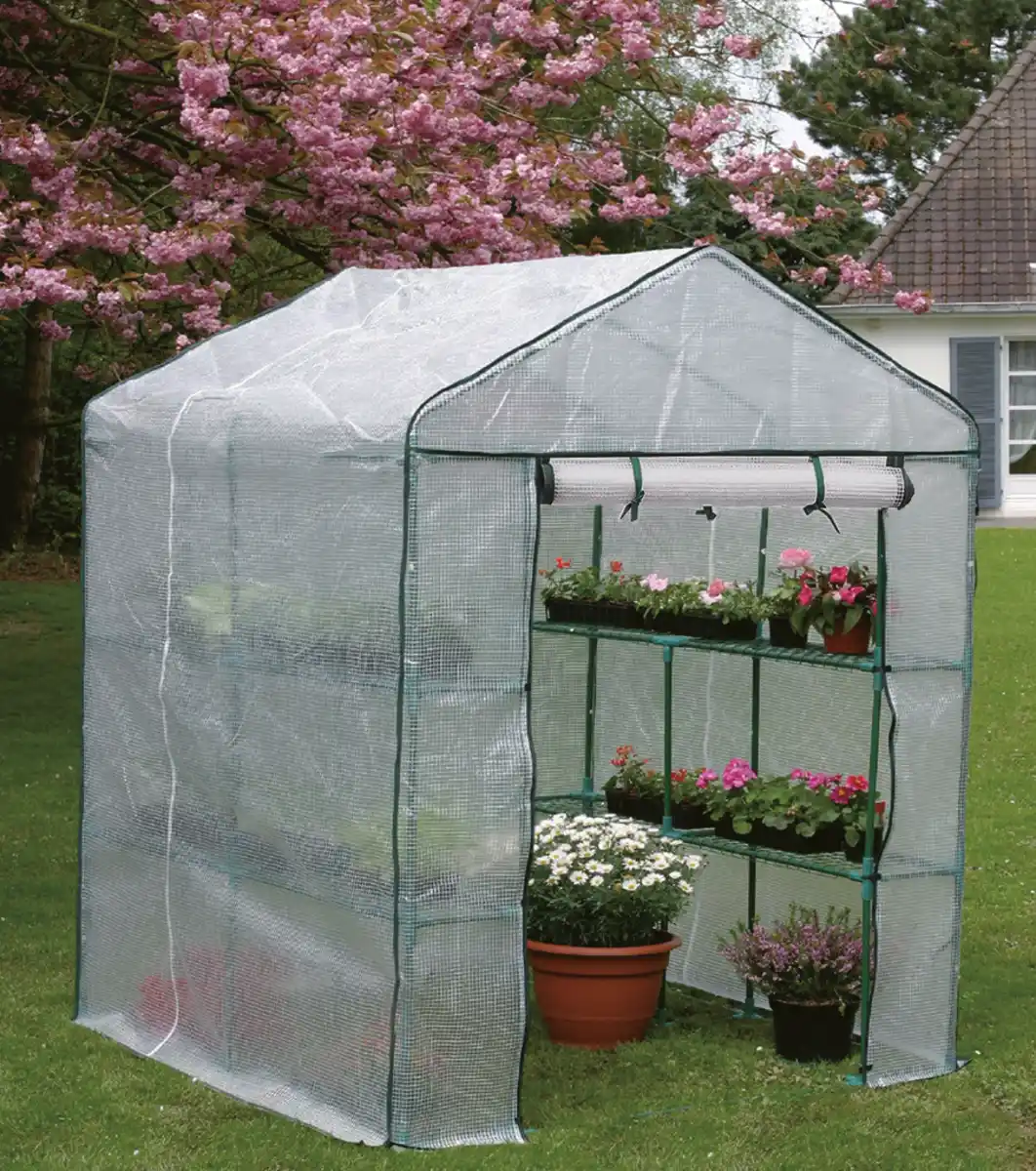 Bild 1 von Gewächshaus begehbar 143x143x195cm grün