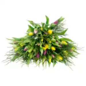 Tulpenstrauß »Lollipop Deluxe«