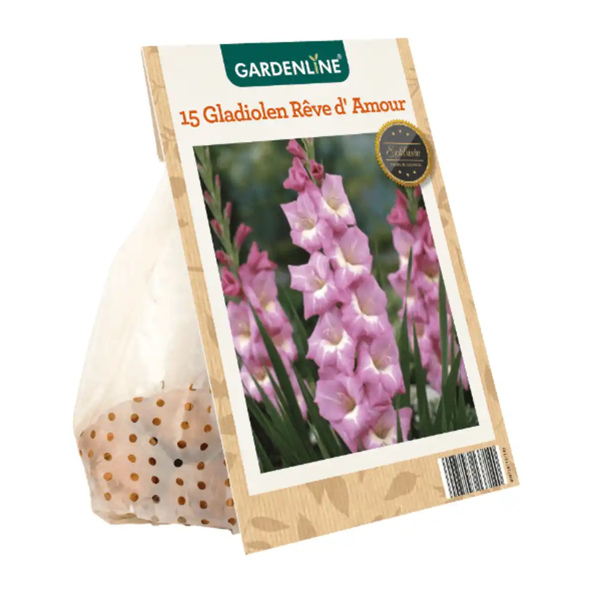 Bild 3 von GARDENLINE Frühjahrsblumenzwiebeln