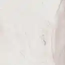 Bild 1 von Bodenfliese Feinsteinzeug Serrenti 60 x 60 weiß